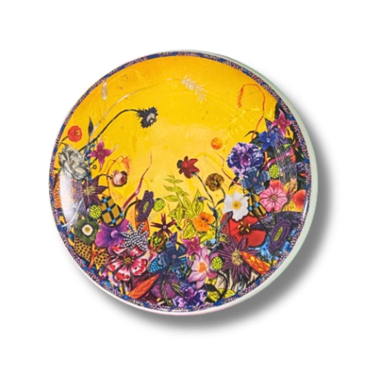 The "Light Beams" Frisbee